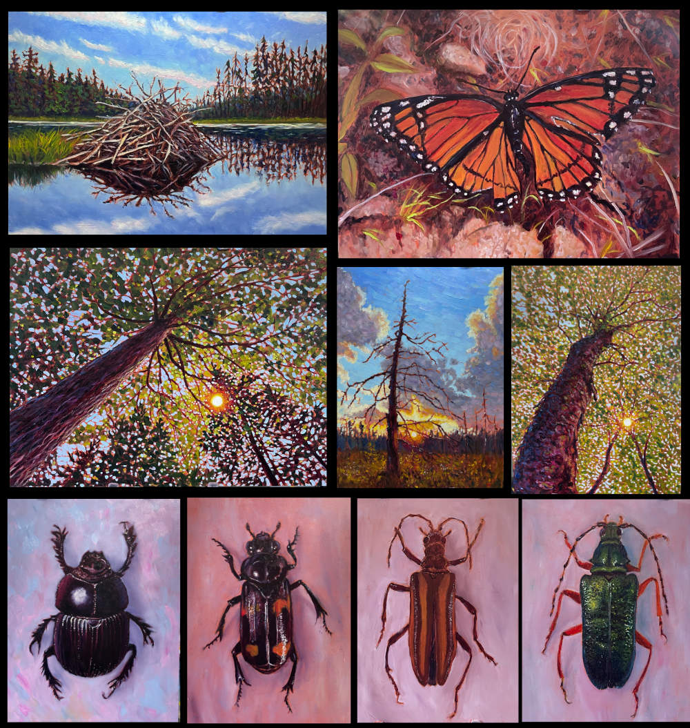 Field Notes from the Wetlands: My Artist Residency with BiotaNB